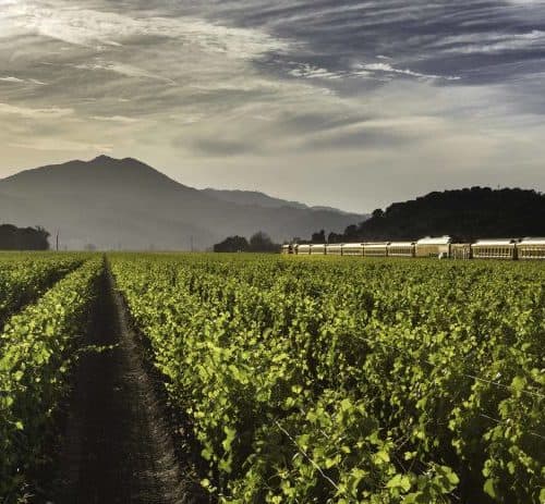 T&C Guide: Napa Valley: Town & Country Magazine