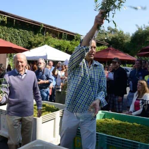 Grgich Hills Estate blesses 40th harvest: Napa Valley Register