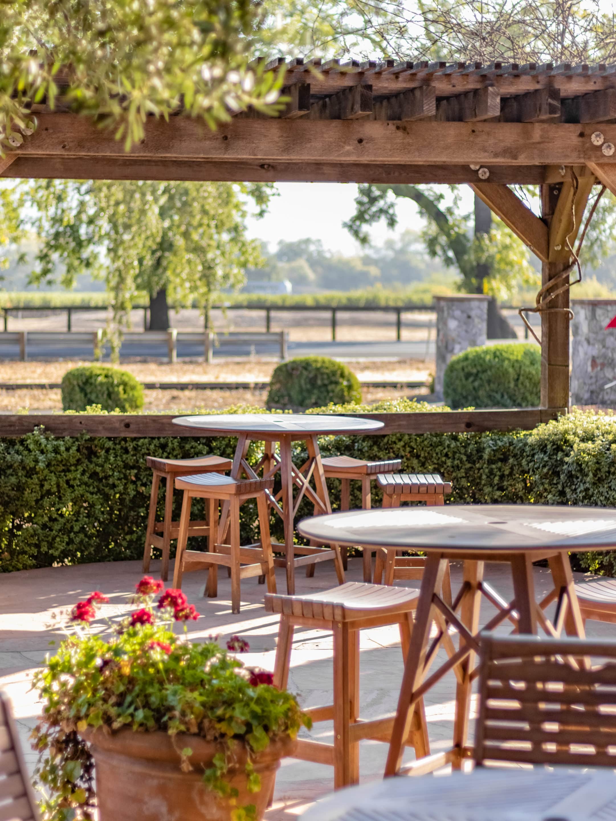 Grgich Hills Winery Patio