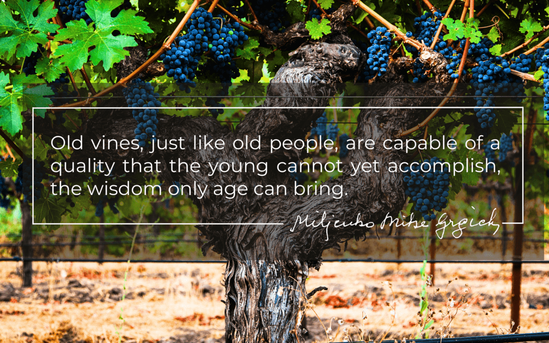 Better with Age: The Importance of Old Vines