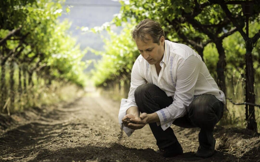 ivo knealing down in the vineyard row looking at a hand full of dirt