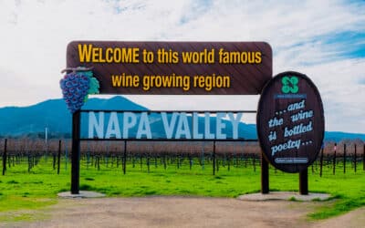 When is the Best Time to Visit Napa? A Winter Wine Tour of Napa Valley