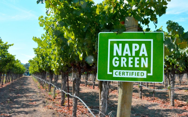 napa green certified sign in vineyard