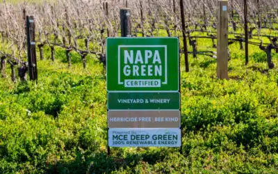 Grgich Hills Guide to “Green” Wines